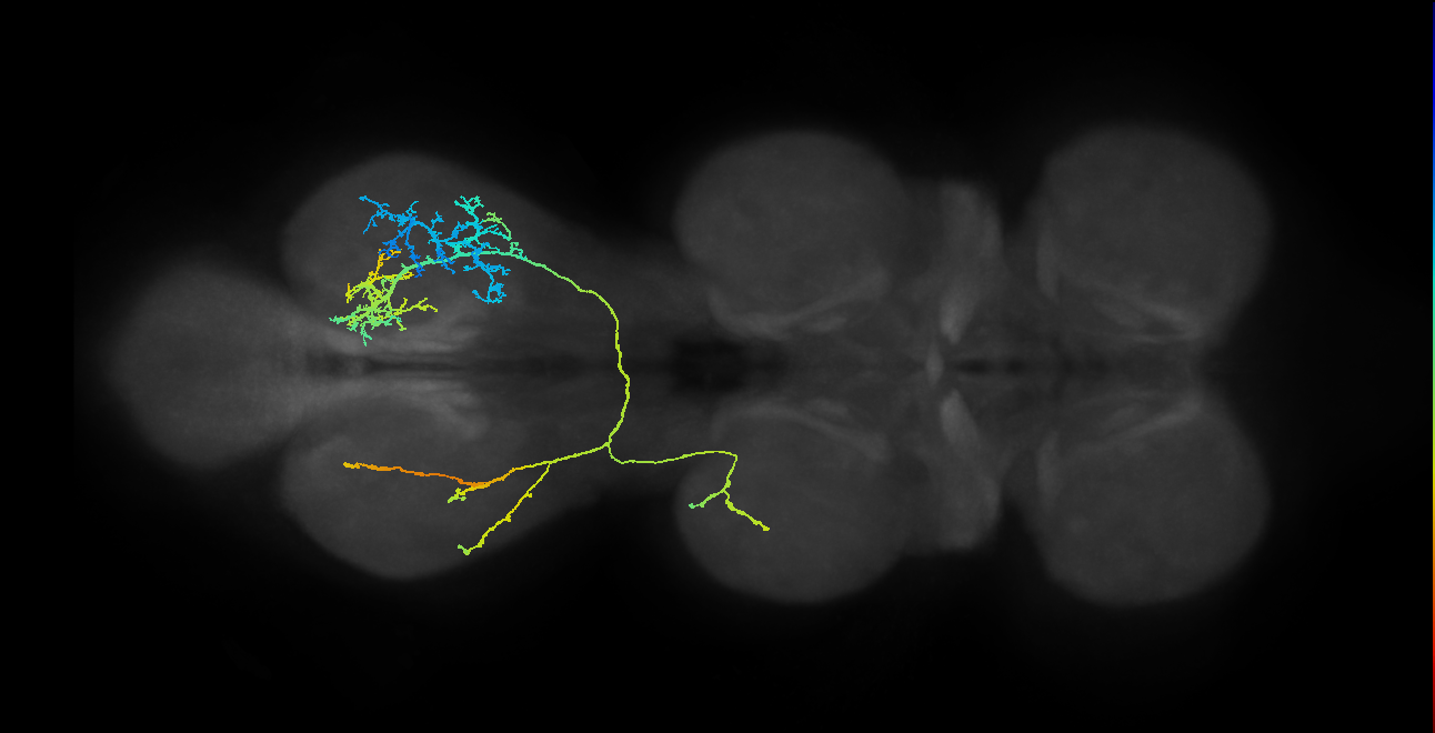IN08B072_T3_R (MANC:19638)