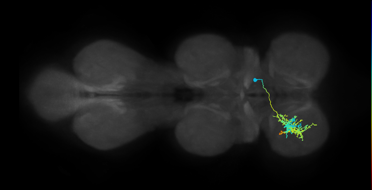 IN12B011_T1_R (MANC:19698)