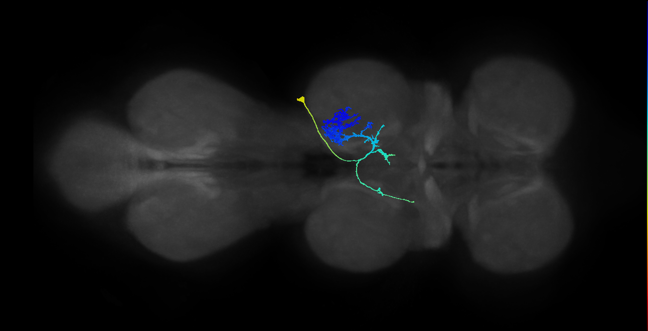 IN23B023_T2_R (MANC:19702)