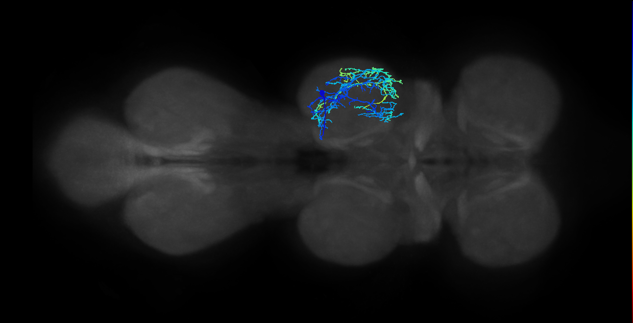 IN04B026_T2_R (MANC:19844)