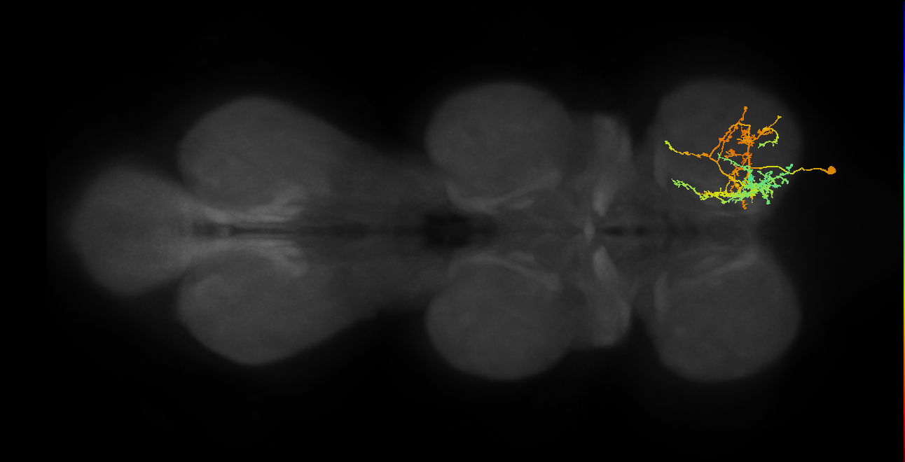 IN08A020_T1_R (MANC:19877)