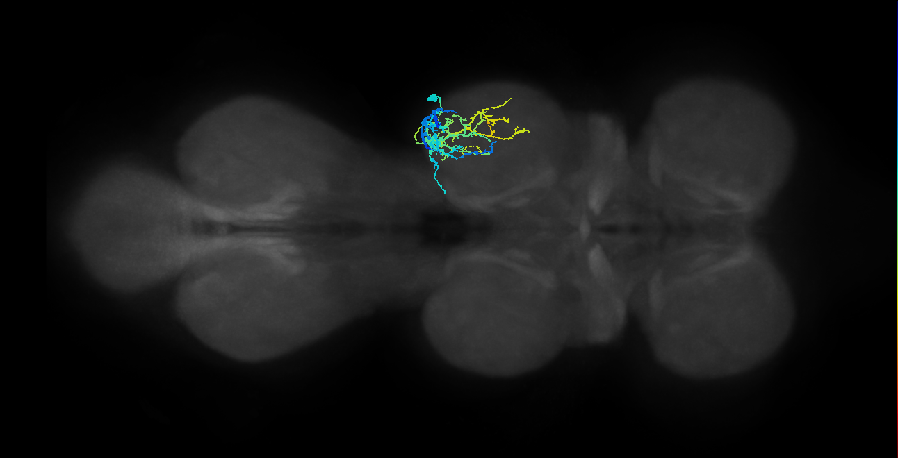 IN19A039_T2_R (MANC:19889)