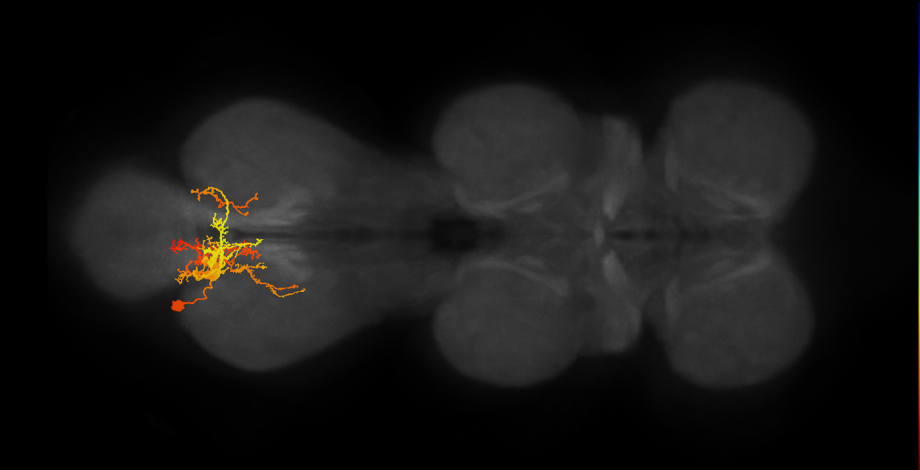 IN01A044_A3_L (MANC:19989)