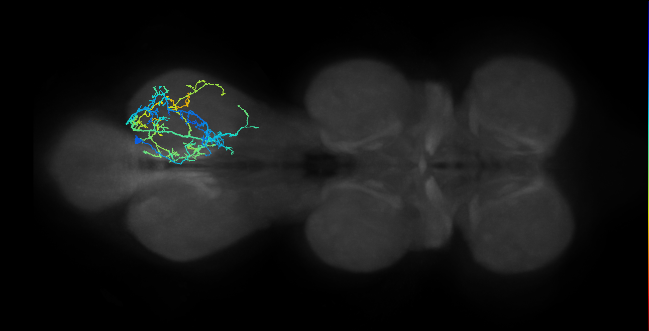 IN04B039_T3_R (MANC:19994)