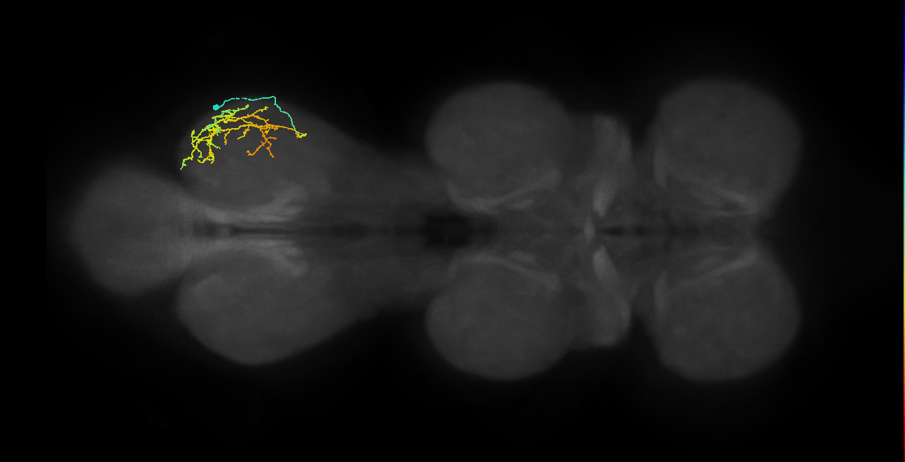 IN08A026_T3_R (MANC:20010)