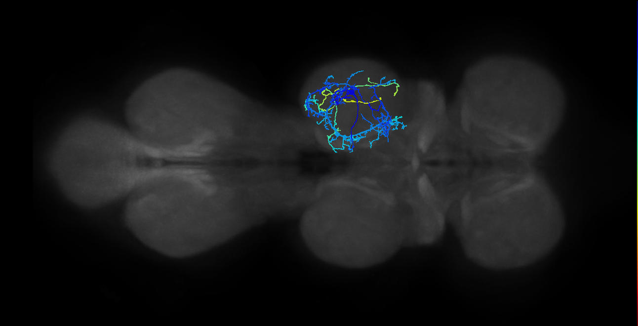 IN04B039_T2_R (MANC:20046)