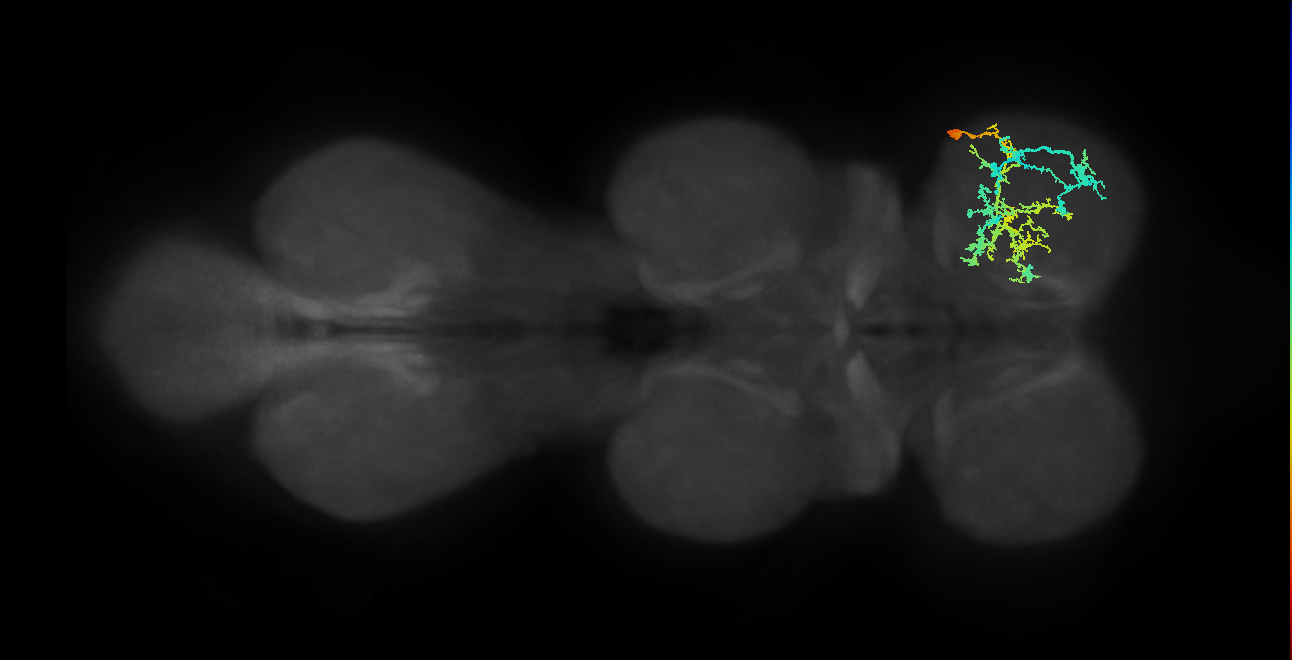 IN19A025_T1_R (MANC:20161)