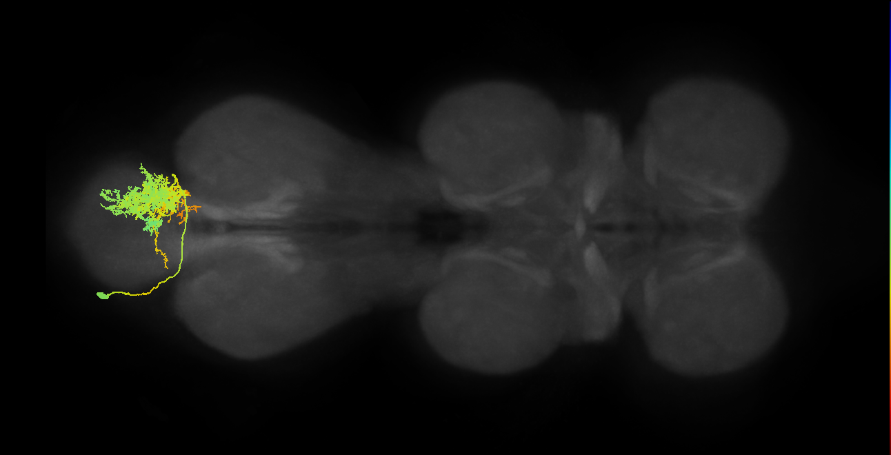 IN01A052_A6_L (MANC:20224)