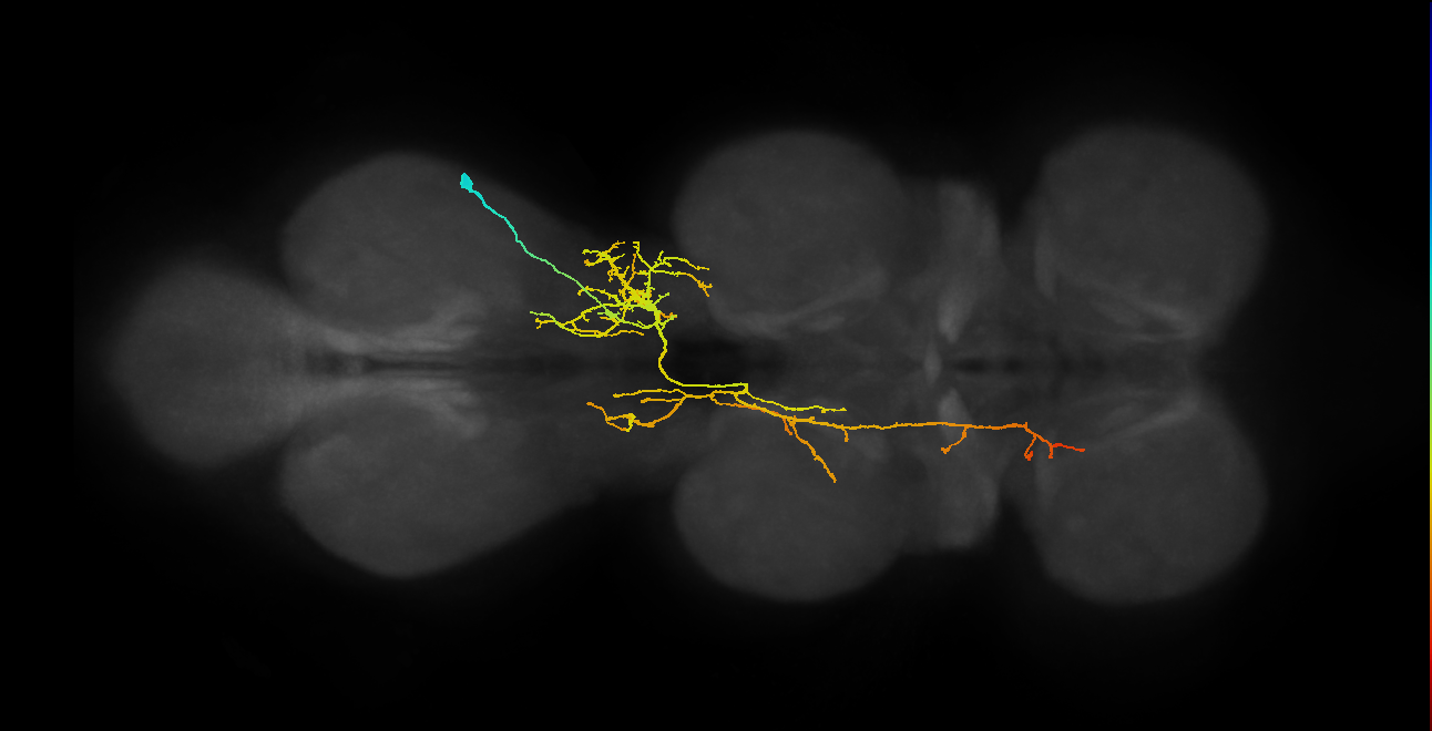 IN08B108_T3_R (MANC:20401)