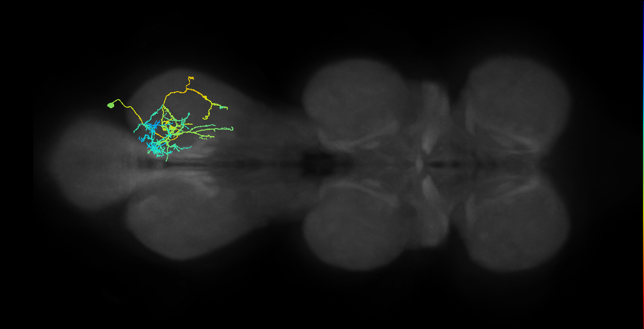 IN03A009_T3_R (MANC:20436)