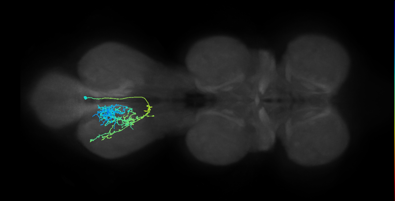 IN12B013_T3_R (MANC:20456)