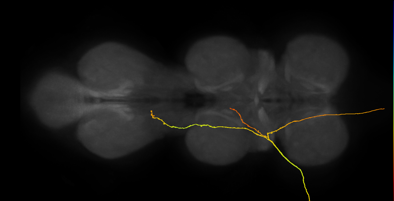 SApp04_ADMN_L (MANC:20561)