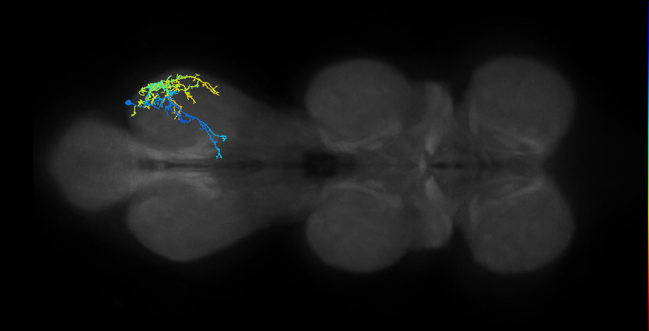IN13A030_T3_R (MANC:20608)