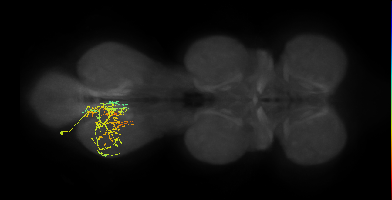 IN03A010_T3_L (MANC:20669)