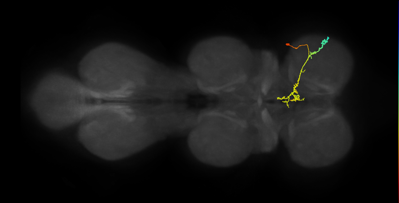 IN19A044_T1_R (MANC:20695)