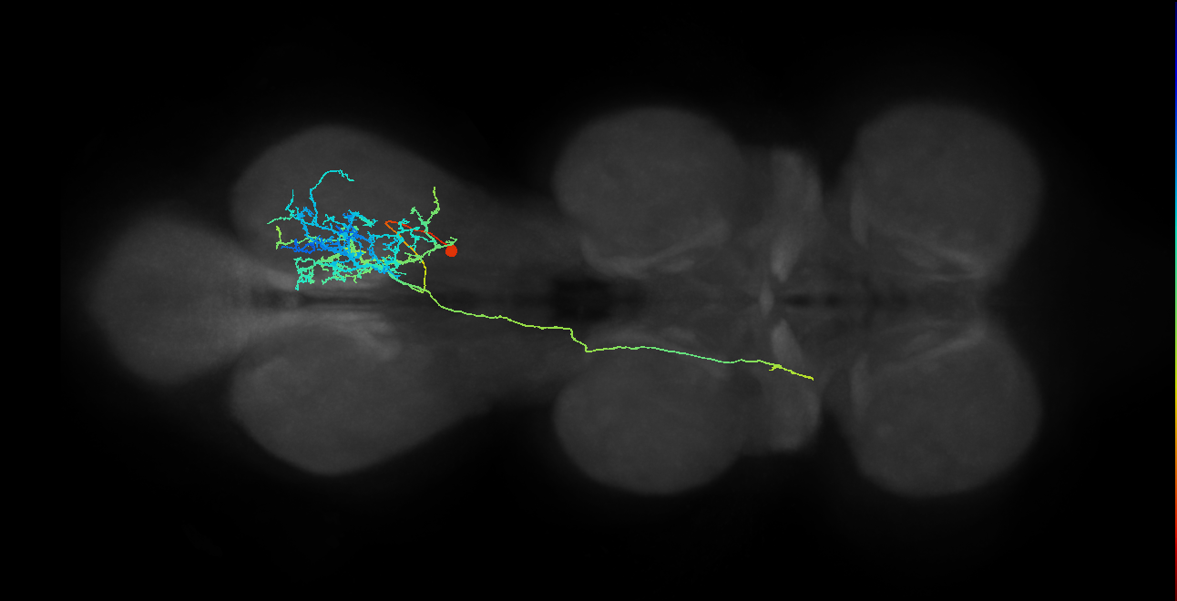IN23B010_T3_R (MANC:20710)