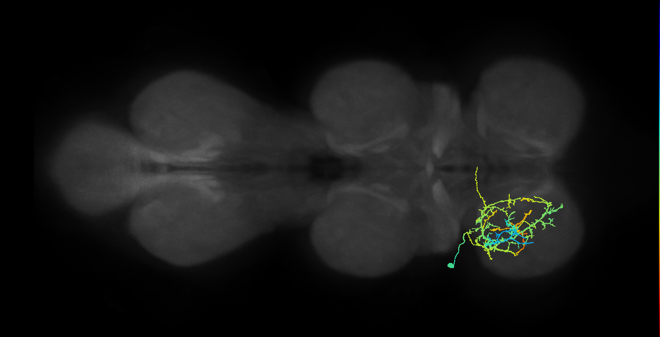 IN03A009_T1_L (MANC:20717)