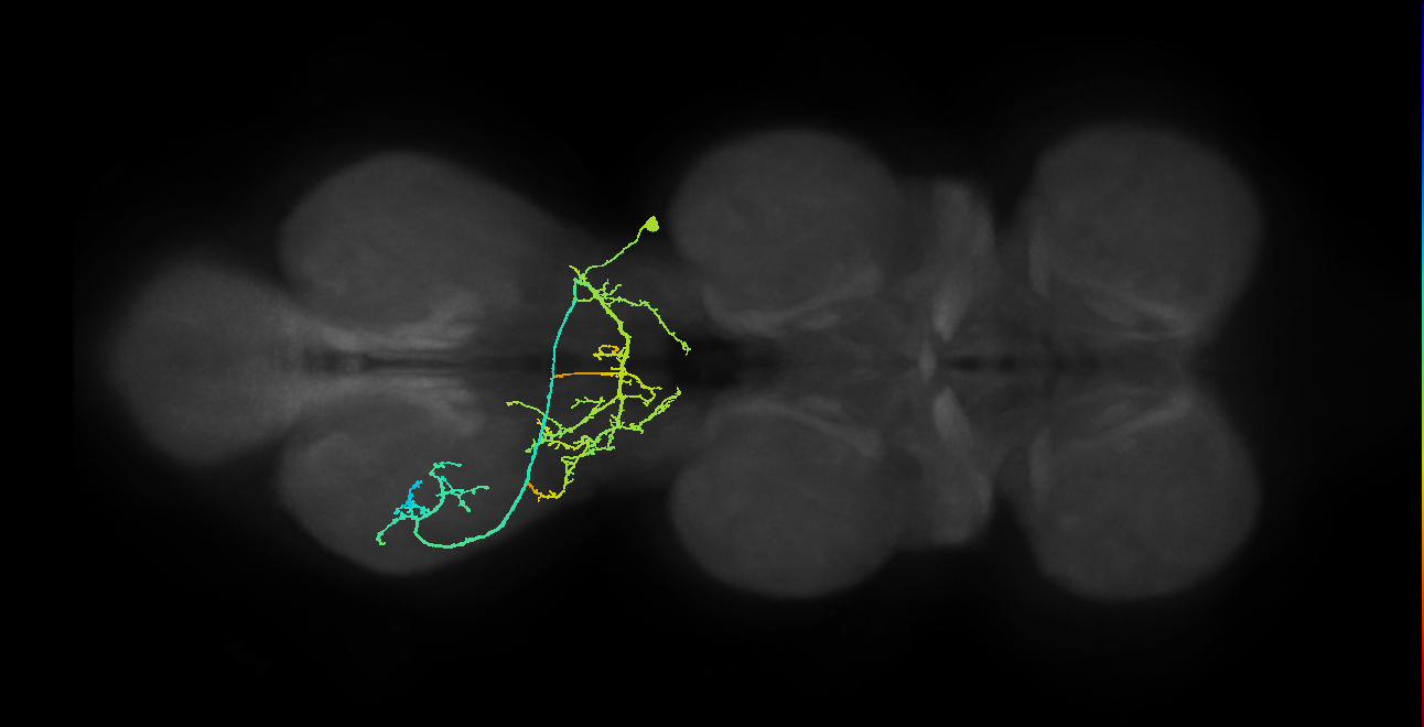 IN01A063_T3_R (MANC:20733)