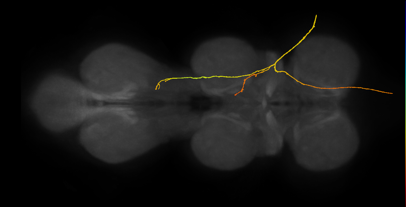 SApp04_ADMN_R (MANC:20914)