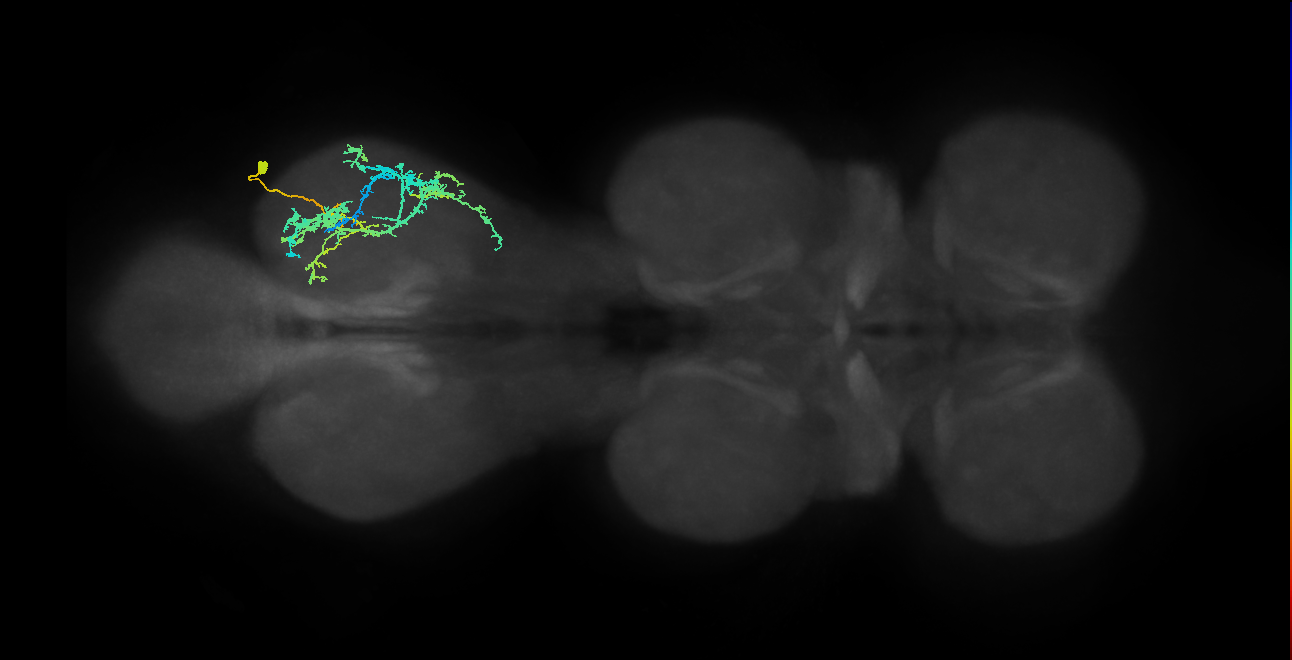 IN19A034_T3_R (MANC:21051)