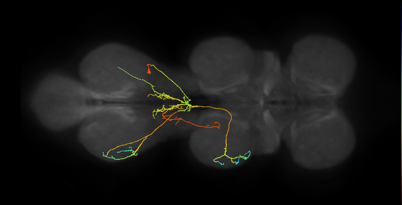 IN18B020_T3_R (MANC:21074)