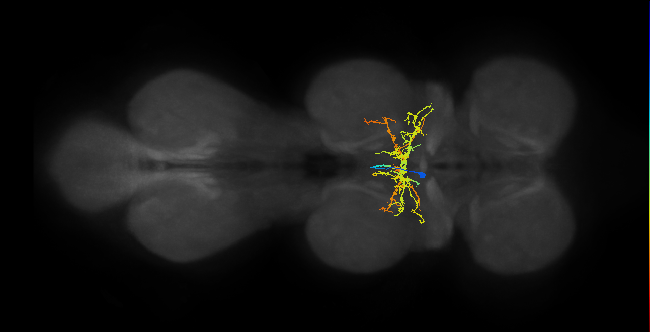 IN00A067_T2_M (MANC:21199)
