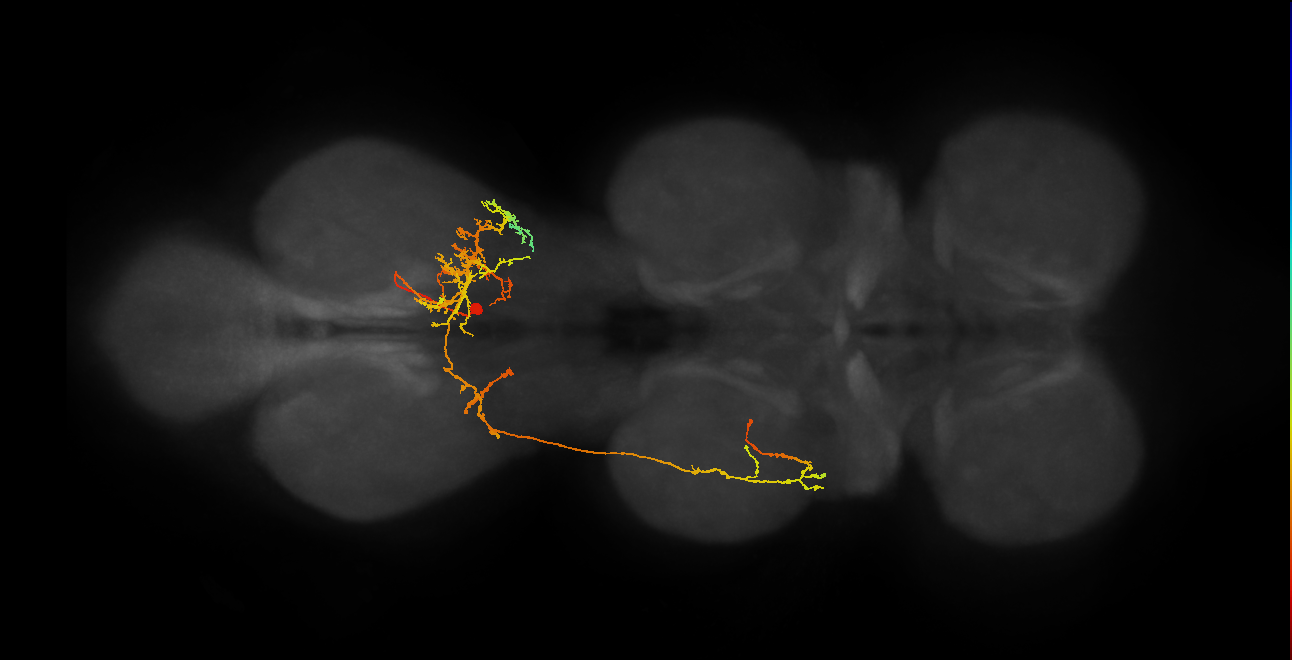 IN19B069_A1_R (MANC:21204)