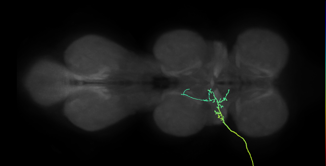 SNpp10_ADMN_L (MANC:21273)