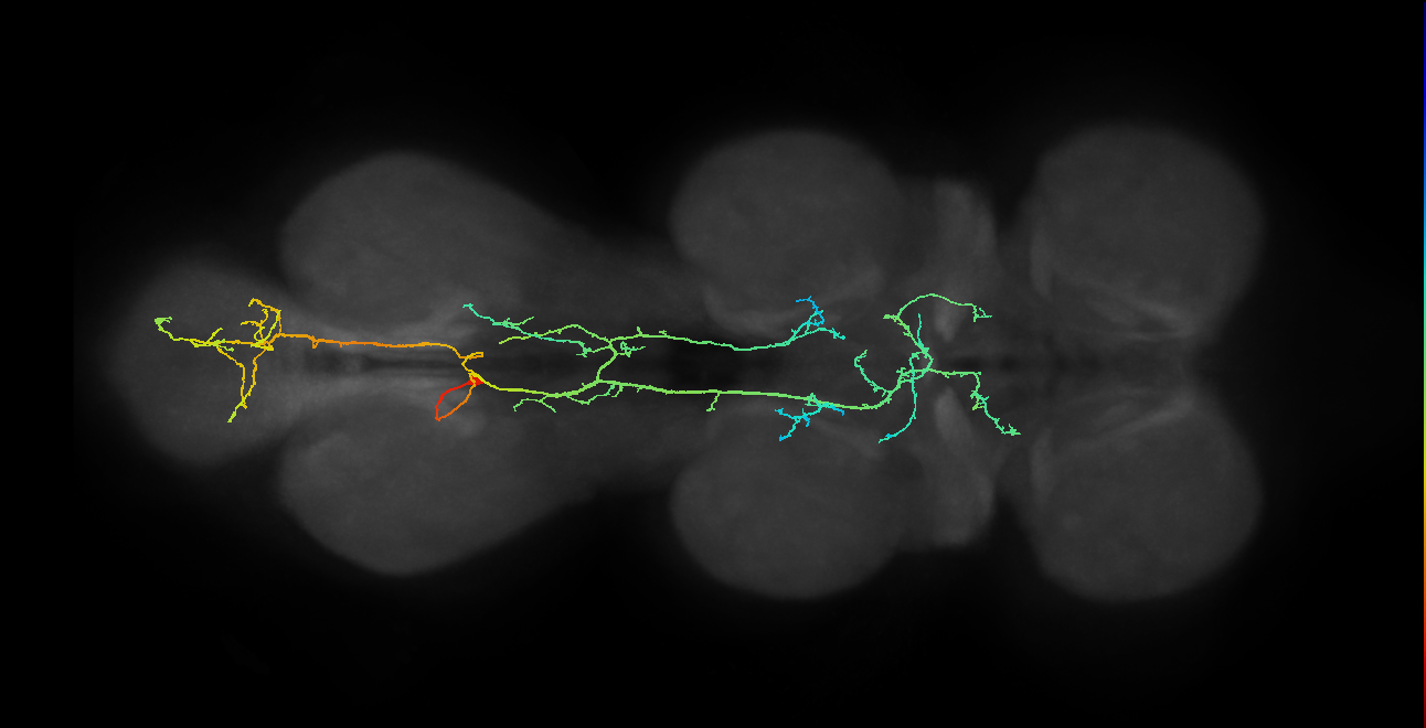 IN23B016_A1_L (MANC:21287)