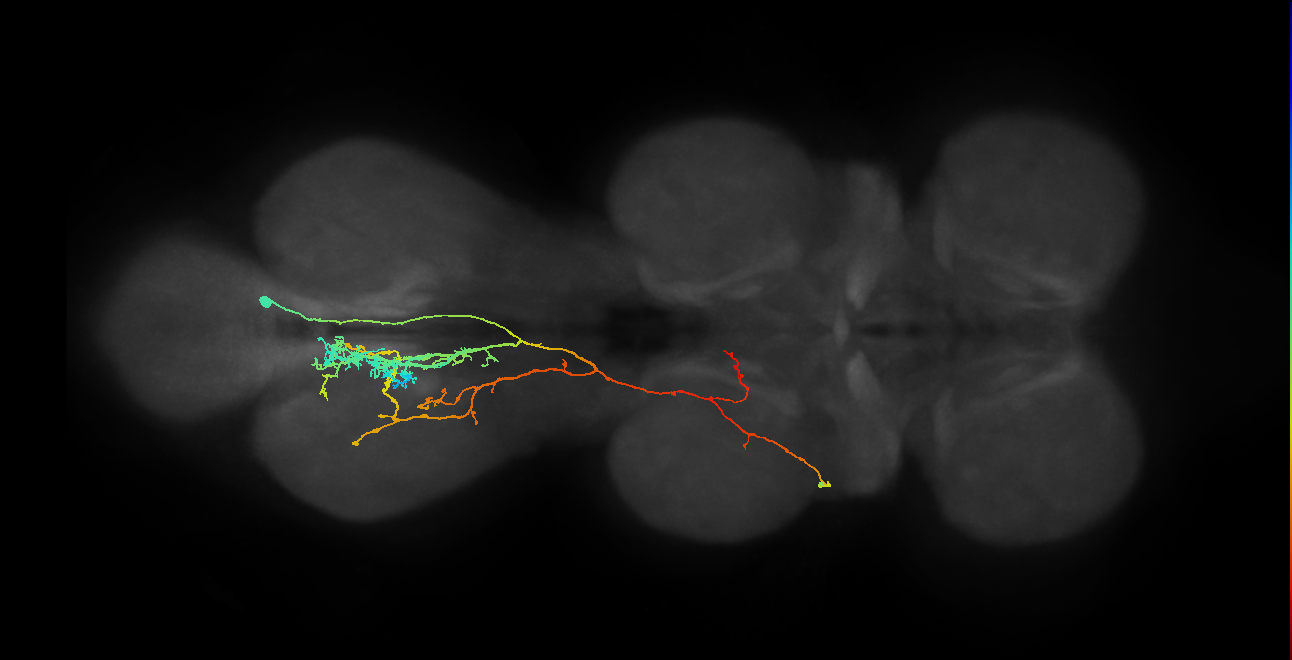 IN06B068_T3_R (MANC:21405)