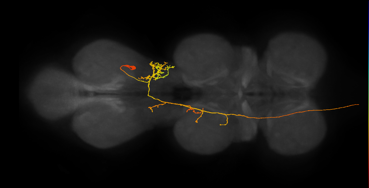 AN19B067_T3_R (MANC:21686)
