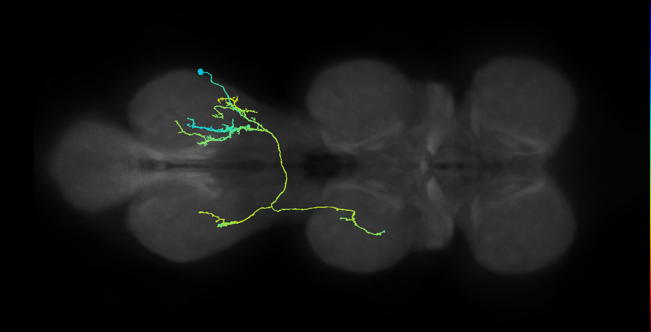 IN08B107_T3_R (MANC:21763)