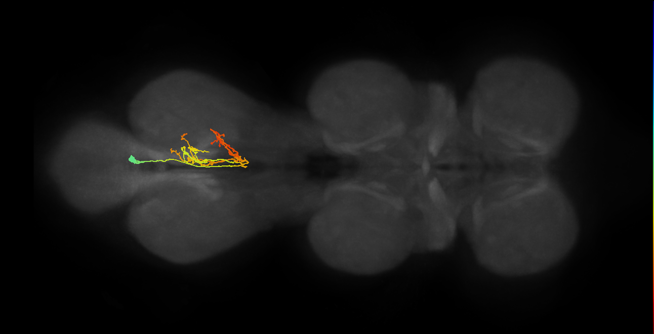 IN02A041_A1_R (MANC:21784)