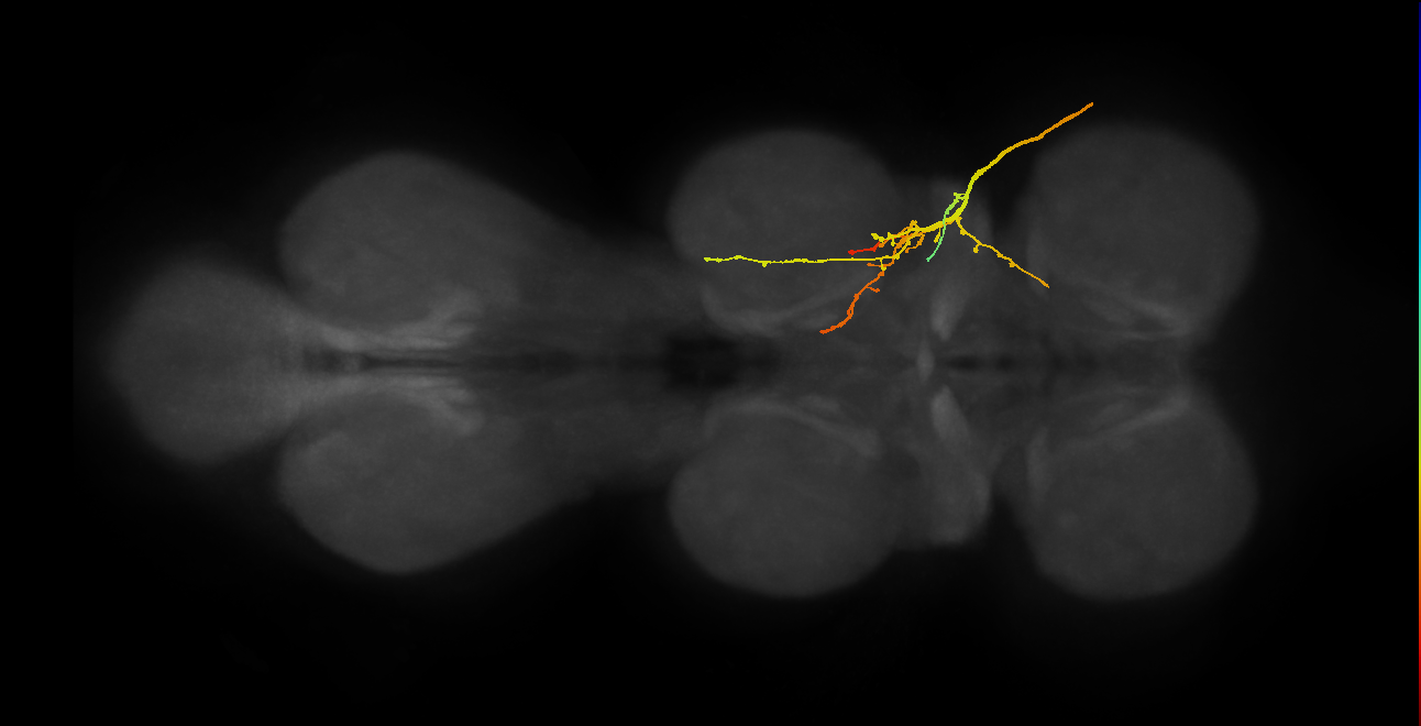 SNpp03_ADMN_R (MANC:21797)