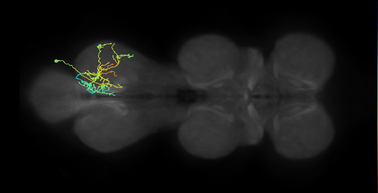 IN03A001_T3_R (MANC:21866)