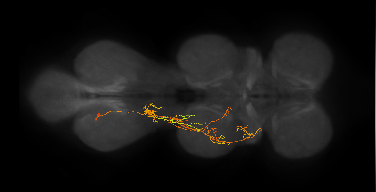 IN03B070_A1_L (MANC:21938)