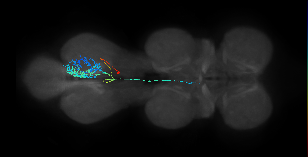 IN23B018_T3_R (MANC:21940)