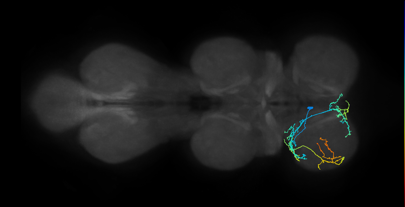 IN04B023_T1_L (MANC:21956)