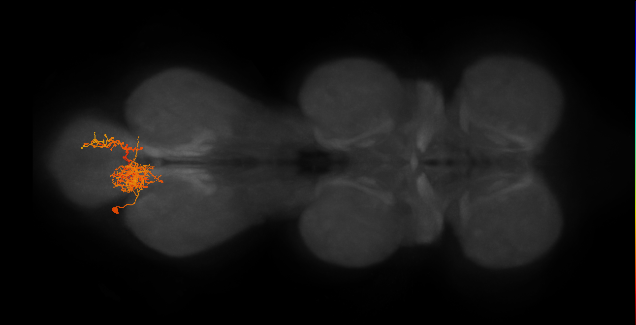 IN06B072_A3_L (MANC:22082)