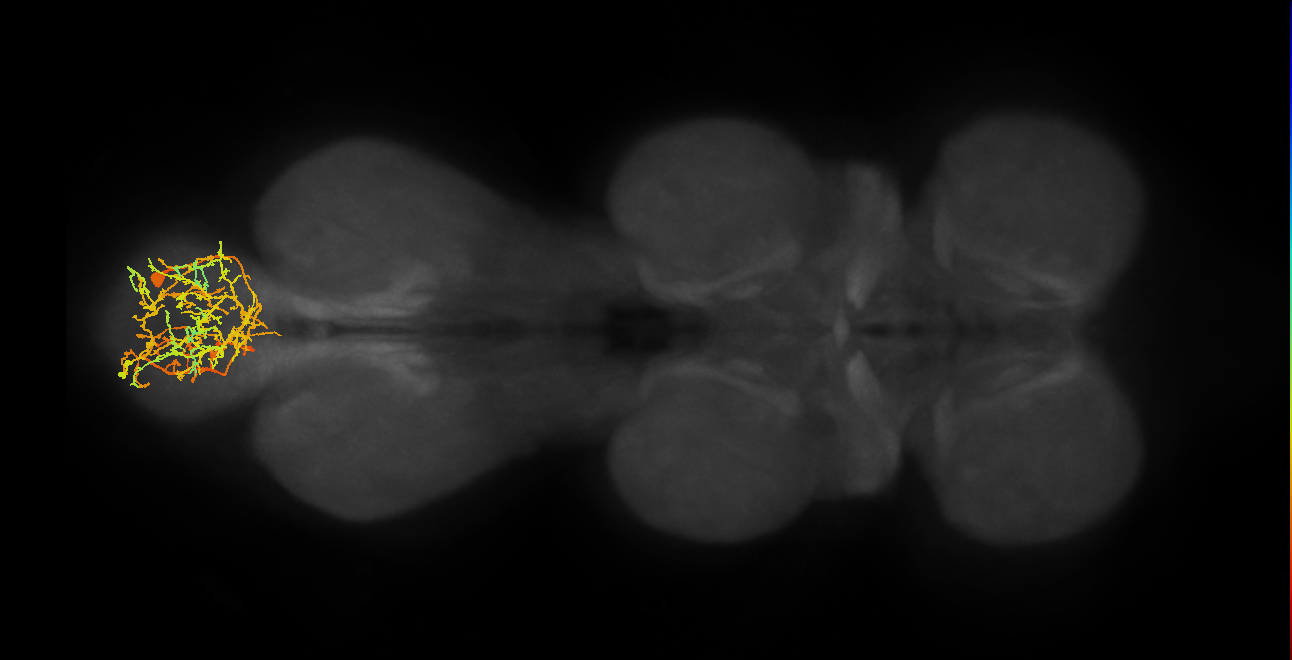 IN19B038_A4_R (MANC:22179)