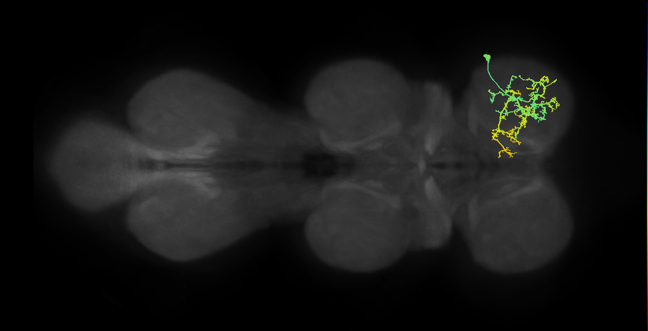 IN20A.22A010_T1_R (MANC:22276)