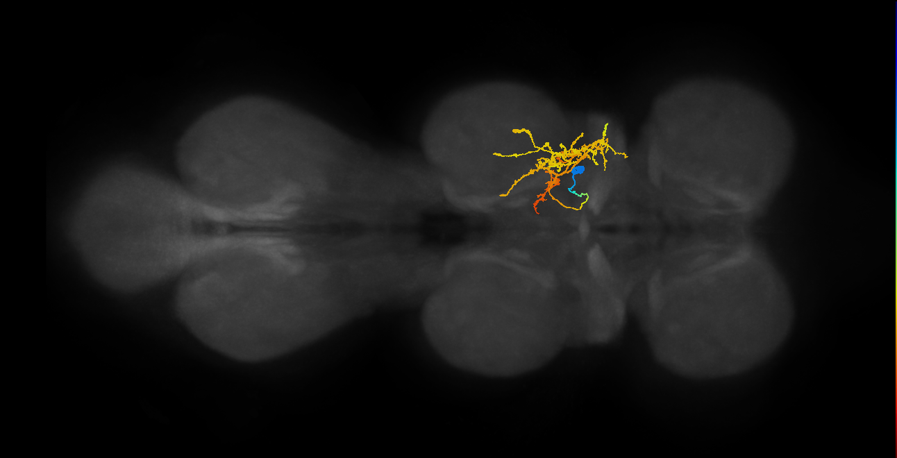 IN02A029_T2_R (MANC:22293)