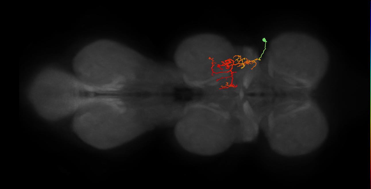 IN03B067_T1_R (MANC:22336)