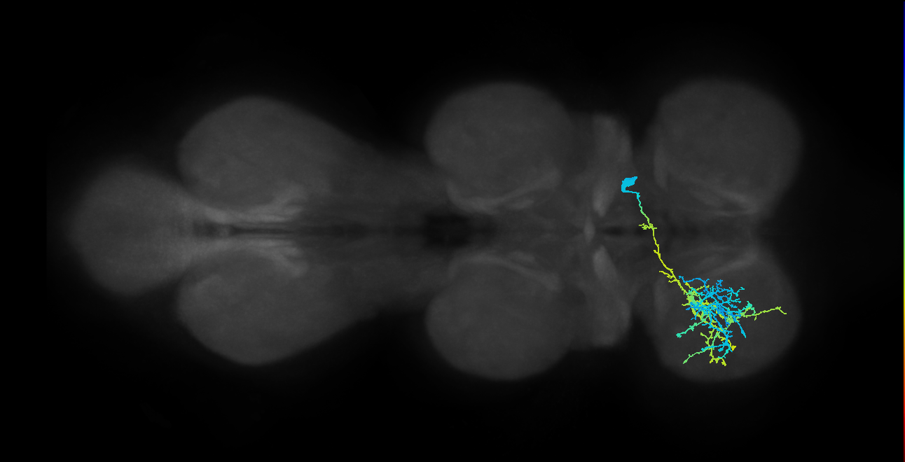 IN12B011_T1_R (MANC:22369)