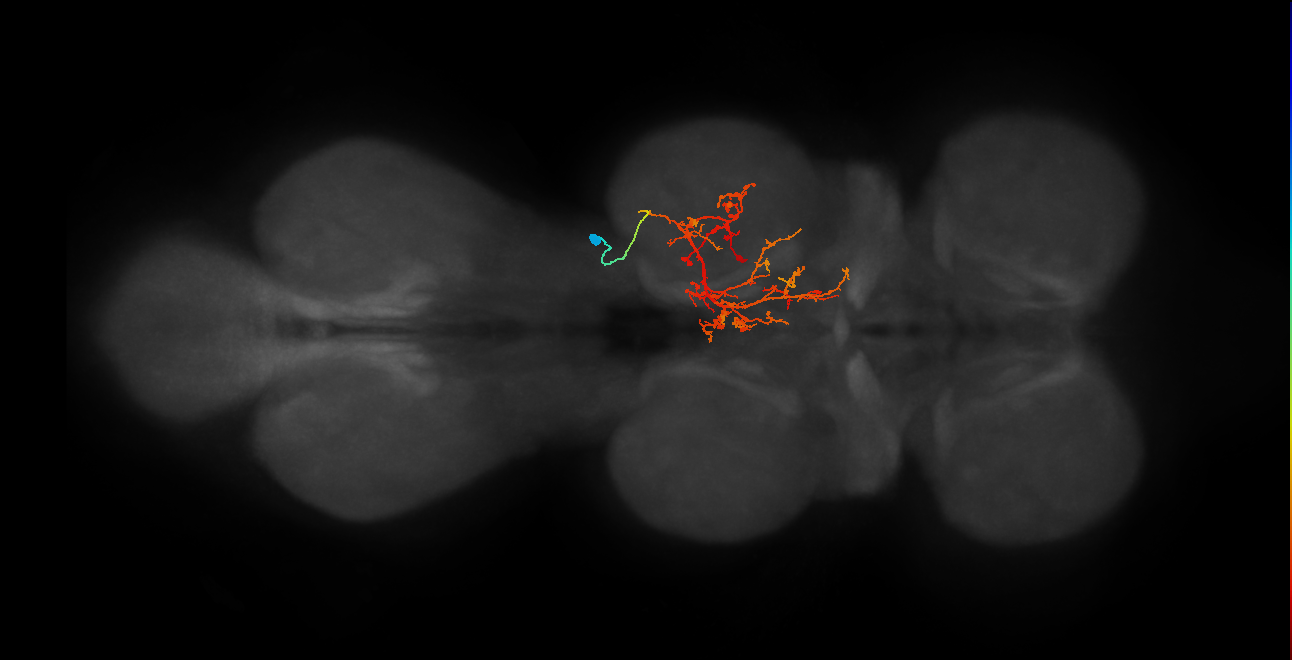 IN03B069_T2_R (MANC:22377)