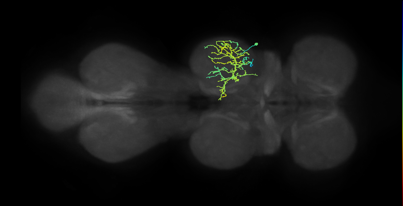 IN08A027_T2_R (MANC:22549)