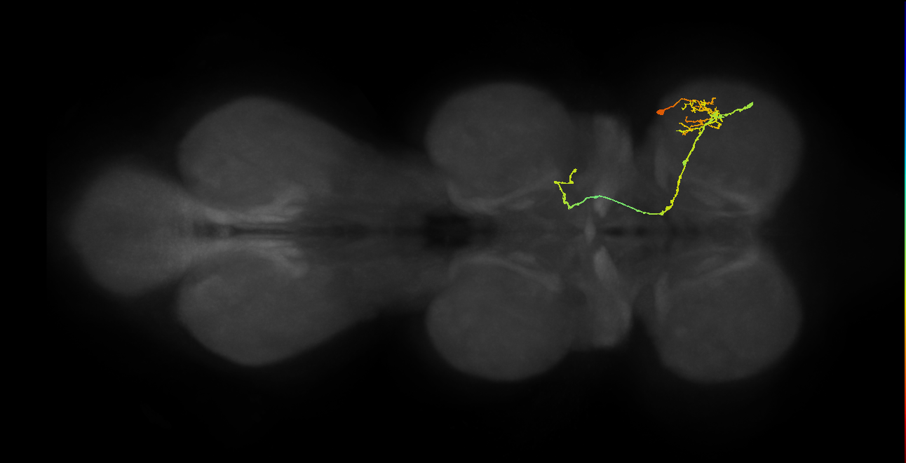 IN19A037_T1_R (MANC:22563)
