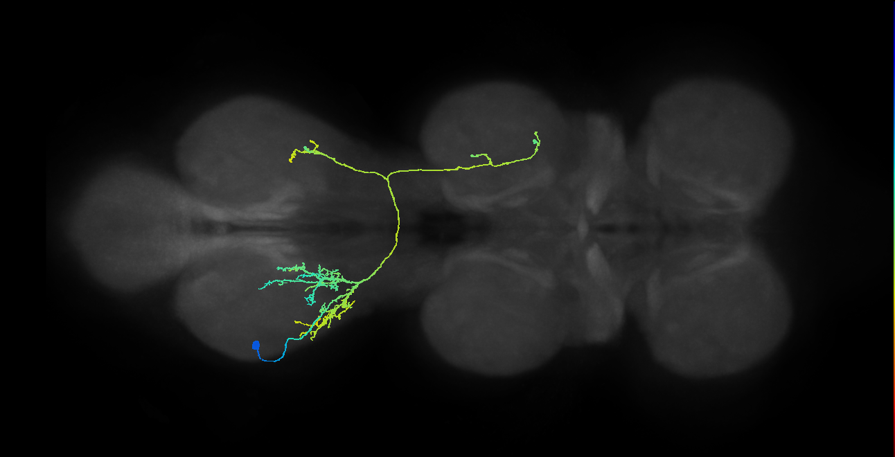 IN08B107_T3_L (MANC:22566)