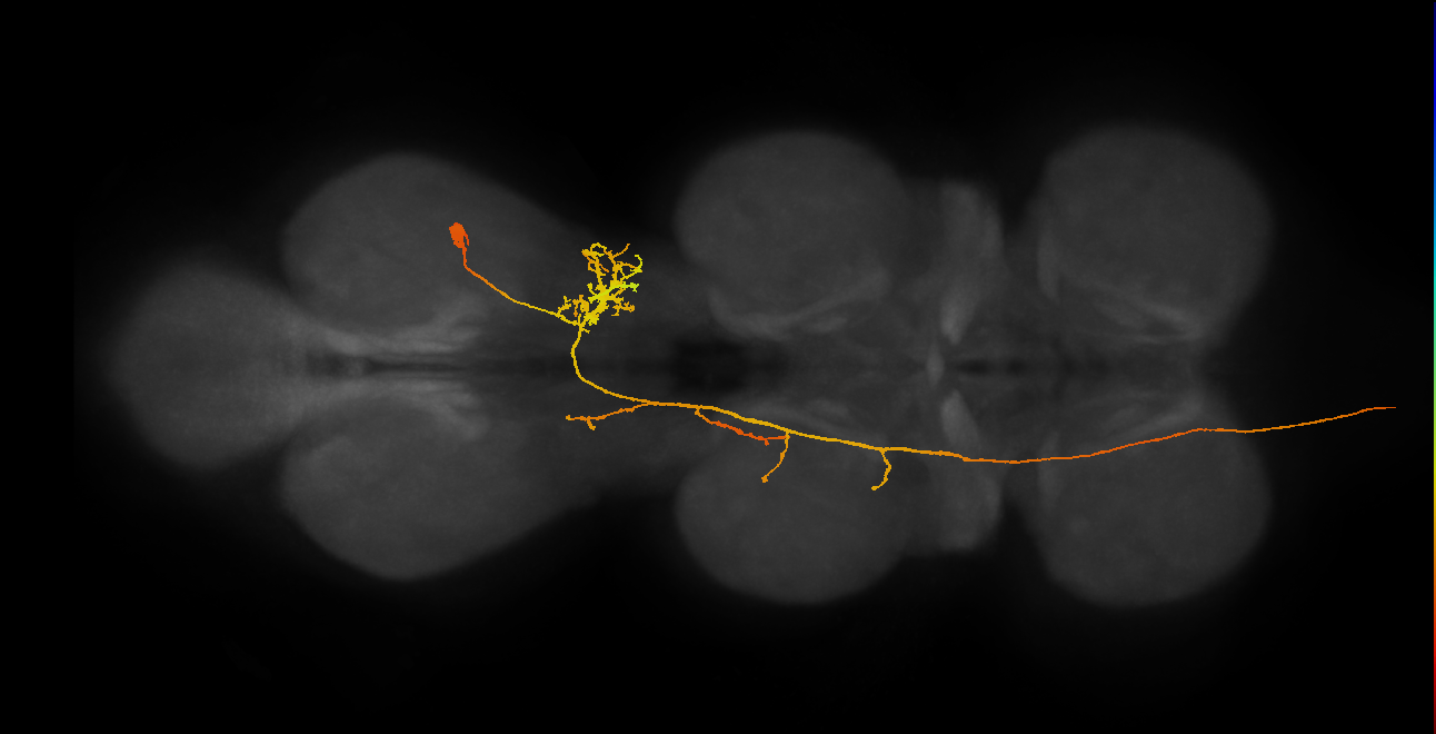 AN19B067_T3_R (MANC:22632)