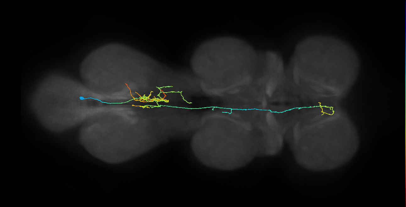 IN05B018_T3_R (MANC:22644)